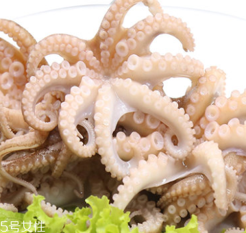 章魚是什么顏色？章魚是什么樣子？