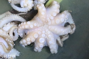章魚會噴墨汁嗎？章魚的墨汁能吃嗎？