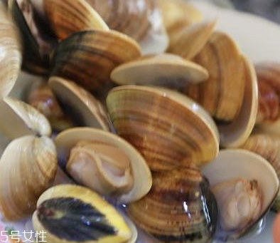 文蛤是海鮮還是河鮮？文蛤是海鮮嗎？