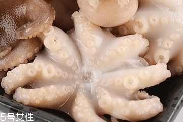 章魚可以炸嗎？章魚能油炸嗎？