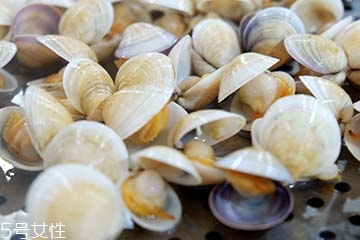 文蛤是淡水還是海水？文蛤是淡水水產(chǎn)嗎？