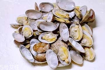 文蛤是冷水煮還是熱水？文蛤是用熱水嗎？