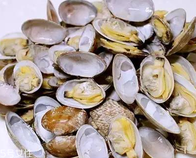 文蛤能做湯嗎？文蛤怎么做湯？