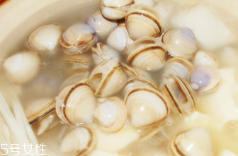 文蛤的食用禁忌 乳房囊腫能吃文蛤嗎？
