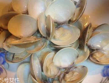 文蛤能給孕婦吃嗎？孕婦能不能吃文蛤？