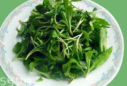 馬蘭頭對(duì)人的好處？馬蘭頭有什么好處？