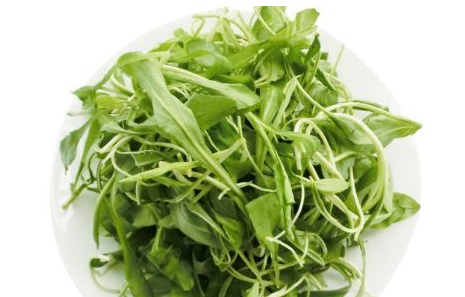 馬蘭頭是馬齒莧嗎？馬蘭頭和馬齒莧的區(qū)別