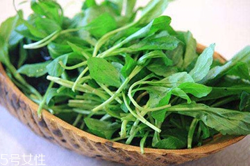 馬蘭頭的營養(yǎng)價值 馬蘭頭有什么營養(yǎng)？