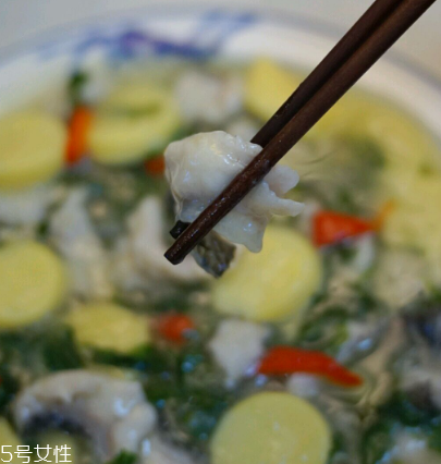 馬蘭頭可以煮魚湯嗎？馬蘭頭怎么煮魚湯