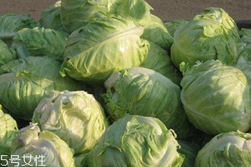 牛心菜是卷心菜嗎？牛心菜和卷心菜的區(qū)別