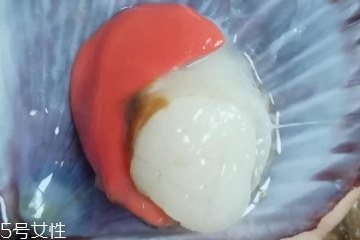 扇貝肉哪里不能吃？扇貝的月牙紅可以吃嗎？