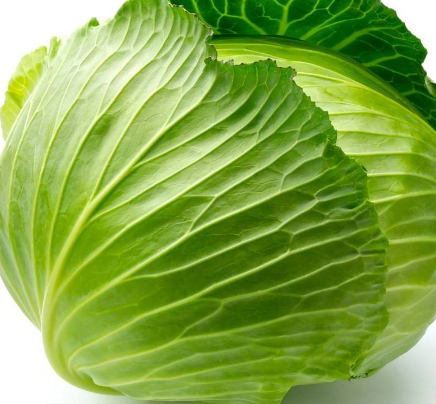 牛心菜能多吃嗎？牛心菜吃多了會怎樣？