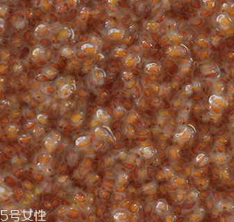 海藻面膜能加蜂蜜嗎？蜂蜜和海藻做面膜好嗎？