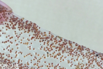海藻面膜可以加維生素e嗎？海藻加維生素e可以用嗎？