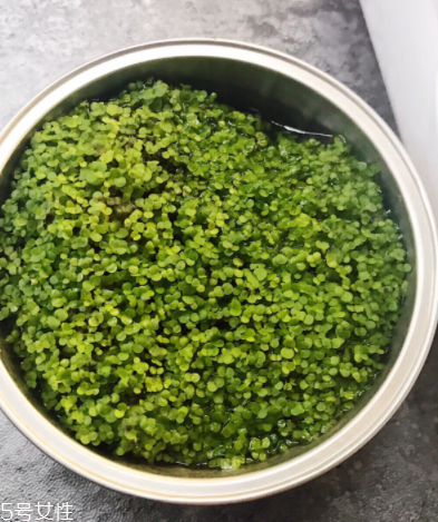 海藻面膜為什么會出膠？海藻面膜的膠是什么？