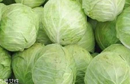 牛心菜是寒性還是熱性？牛心菜是寒性的嗎？