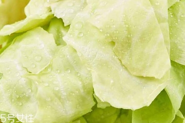 牛心菜是寒性還是熱性？牛心菜是寒性的嗎？