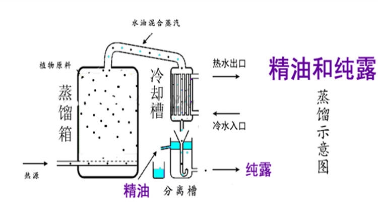純露怎么濕敷效果好？純露濕敷的正確步驟