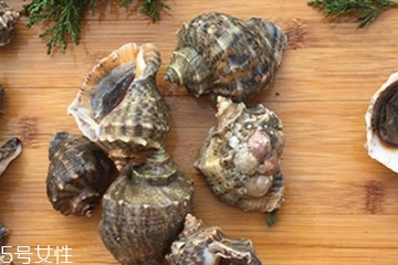 海螺會中毒嗎？吃海螺中毒多久會緩解？