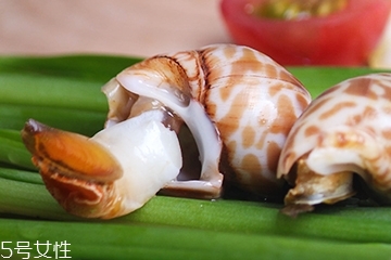 海螺能和西瓜一起吃嗎？海螺和西瓜能同食嗎？