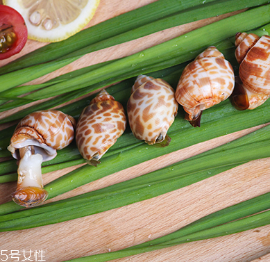 海螺能和西瓜一起吃嗎？海螺和西瓜能同食嗎？