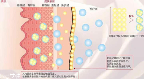 頑固痘痘怎么消除？油皮為什么反復(fù)爆痘？