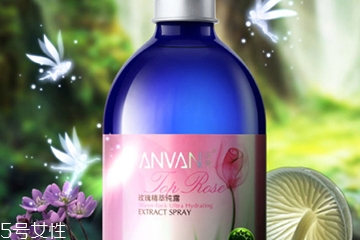 玫瑰水哪個牌子好？玫瑰水品牌推薦