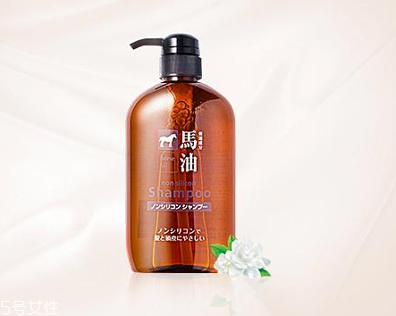 馬油洗發(fā)水是哪里產(chǎn)的？馬油洗發(fā)水是哪國的？