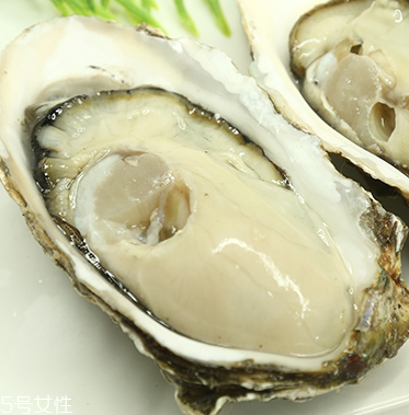 生蠔是蒸還是煮？生蠔蒸好吃還是煮好吃？