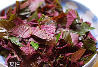 紫蘇葉能治皮膚過(guò)敏嗎？