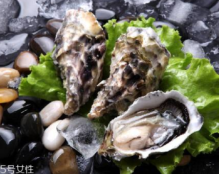 生蠔每天吃幾個最好？生蠔每日最佳食用量