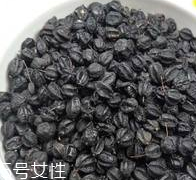 刺五加怎么吃？刺五加有什么用？