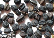 刺五加怎么吃？刺五加有什么用？