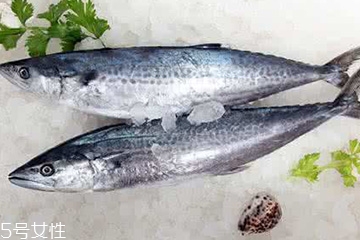 鲅魚(yú)和青占魚(yú)是一種嗎 體型不一