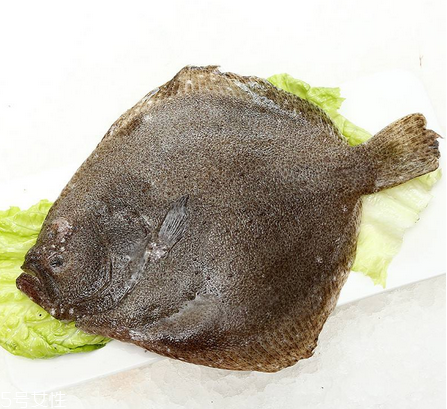 多寶魚怎么殺 用對(duì)方法很重要