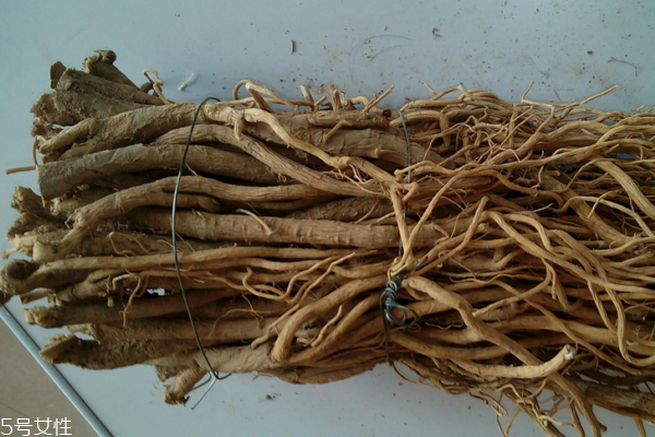黃芪為什么會生蟲 這個是正?，F(xiàn)象