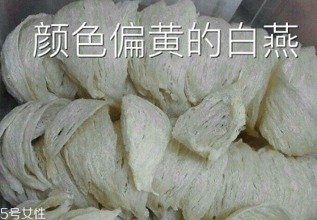 燕窩真假怎么分辨 注意3點再也不會上當(dāng)
