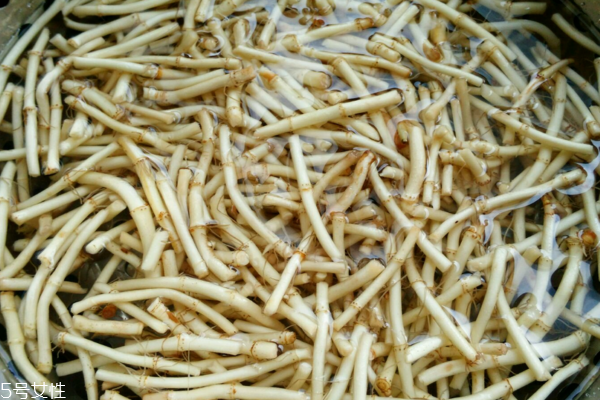 魚(yú)腥草是中藥嗎 古老中藥材