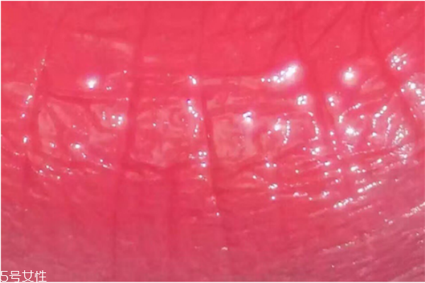 紀(jì)梵希口紅301是什么顏色 紀(jì)梵?？诩t301試色