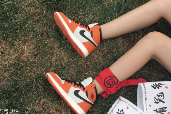 aj1是什么皮質(zhì) 一起來盤點