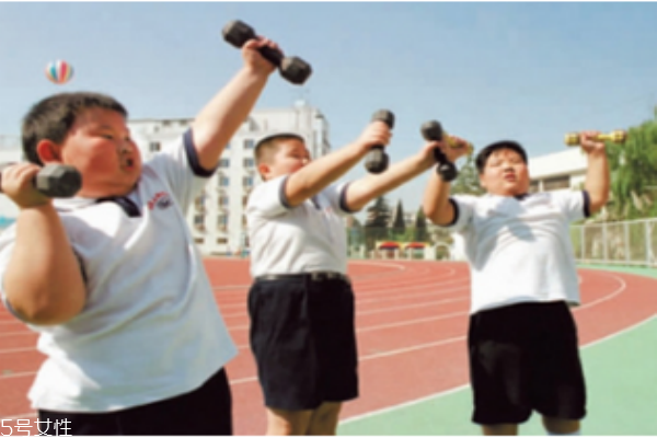 應(yīng)該注意小孩脂肪和膽固醇的攝取量嗎？