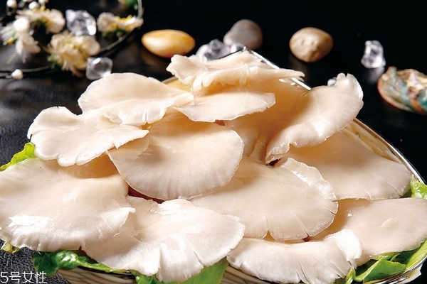 蘑菇需要陽光嗎 無需陽光就可生長(zhǎng)