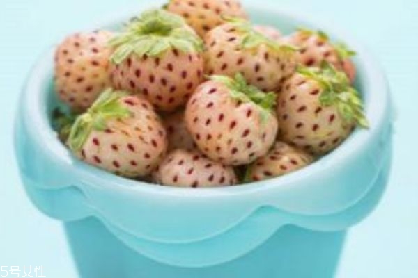 白色草莓叫什么 白色草莓多少錢(qián)一斤