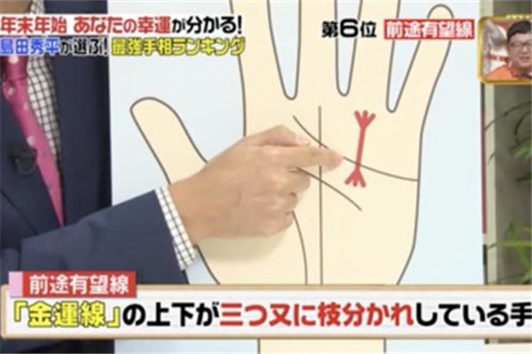 所羅門(mén)之星手相圖解 日本手相圖解大全