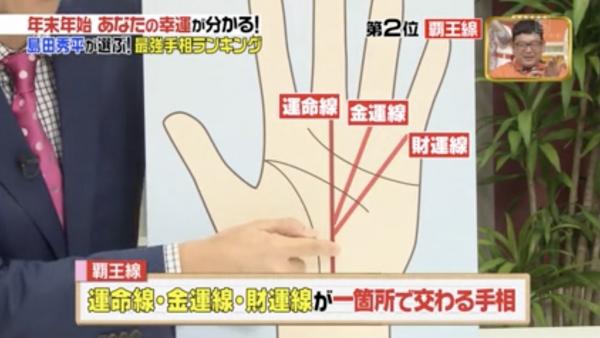 所羅門(mén)之星手相圖解 日本手相圖解大全