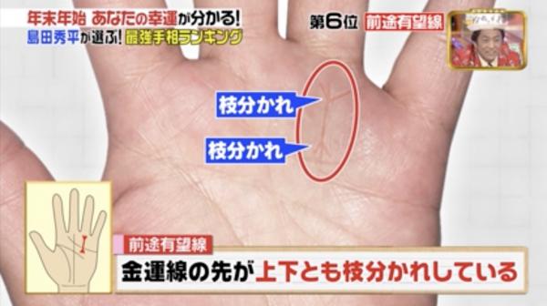 所羅門(mén)之星手相圖解 日本手相圖解大全