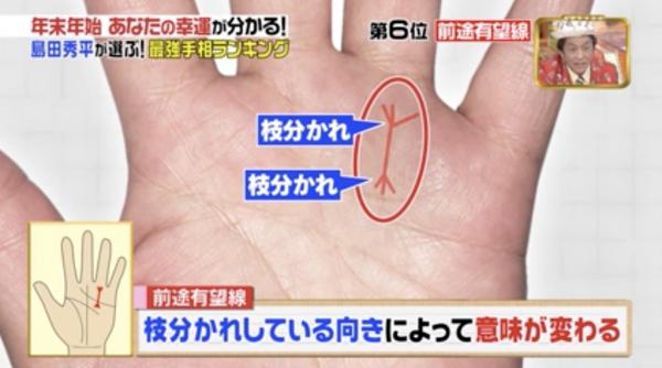 所羅門(mén)之星手相圖解 日本手相圖解大全