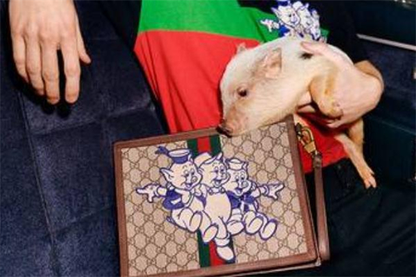 gucci豬年限定包包多少錢 三只小豬陪你過(guò)年
