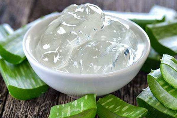簡單自制蘆薈膠方法 怎樣自制蘆薈膠