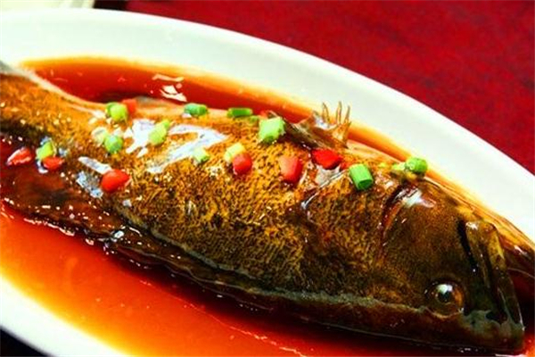 紅燒石斑魚(yú)的做法 家常做法很簡(jiǎn)單